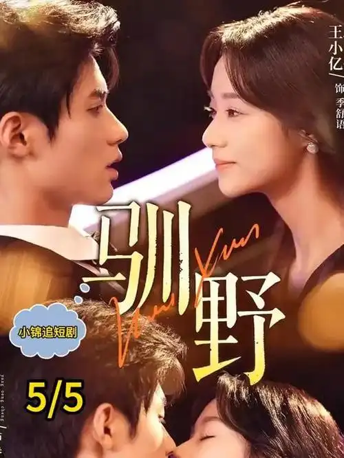 冬日来信 治愈爱情电视剧全集在线观看